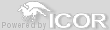 www.icor.pl