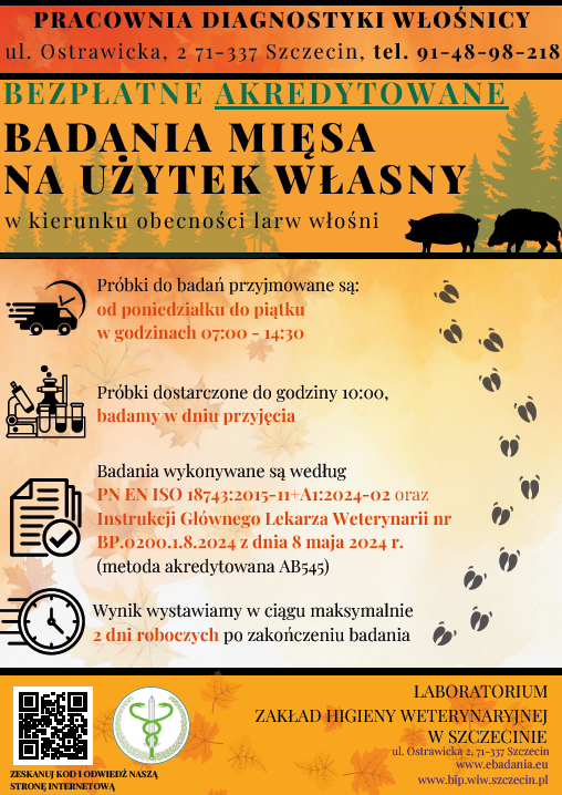 Diagnostyka wonicy